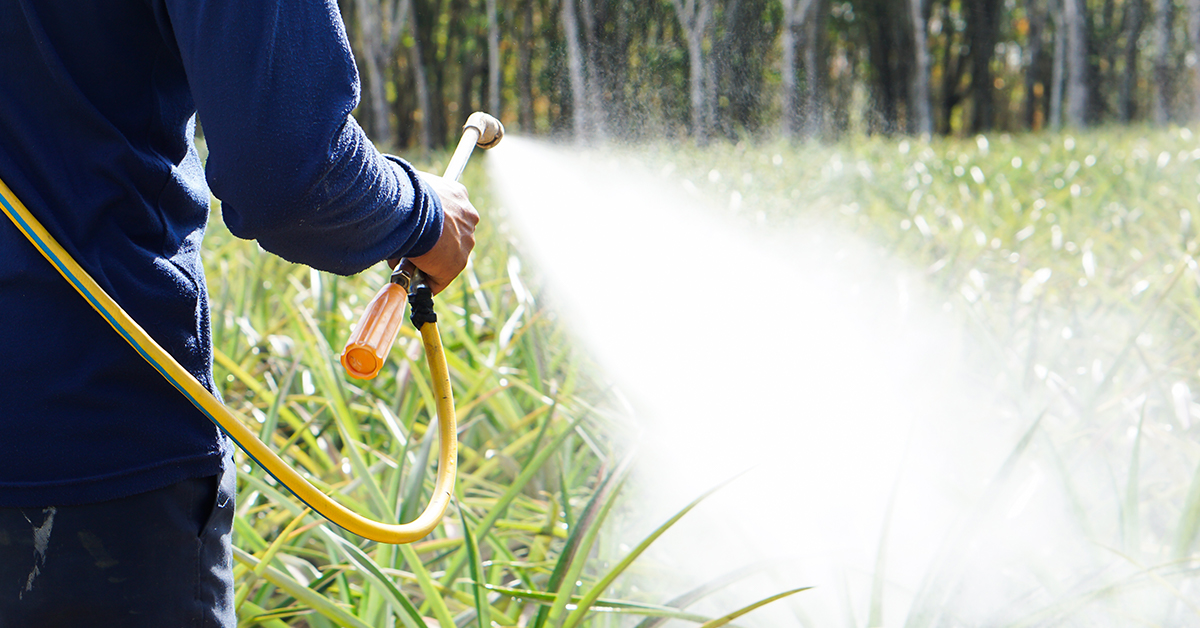 Farmers Still Using Roundup Despite Cancer-Linked Verdicts featured article photo showing man spraying weeds with solution