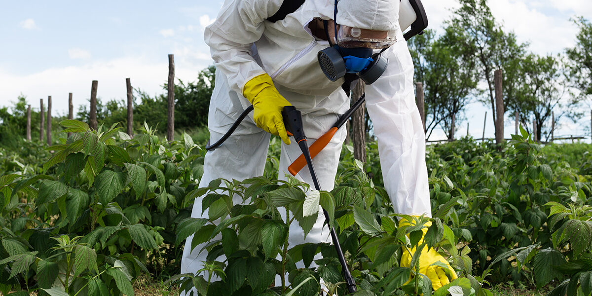 Paraquat Chemical In Herbicides Linked To Parkinson's Disease