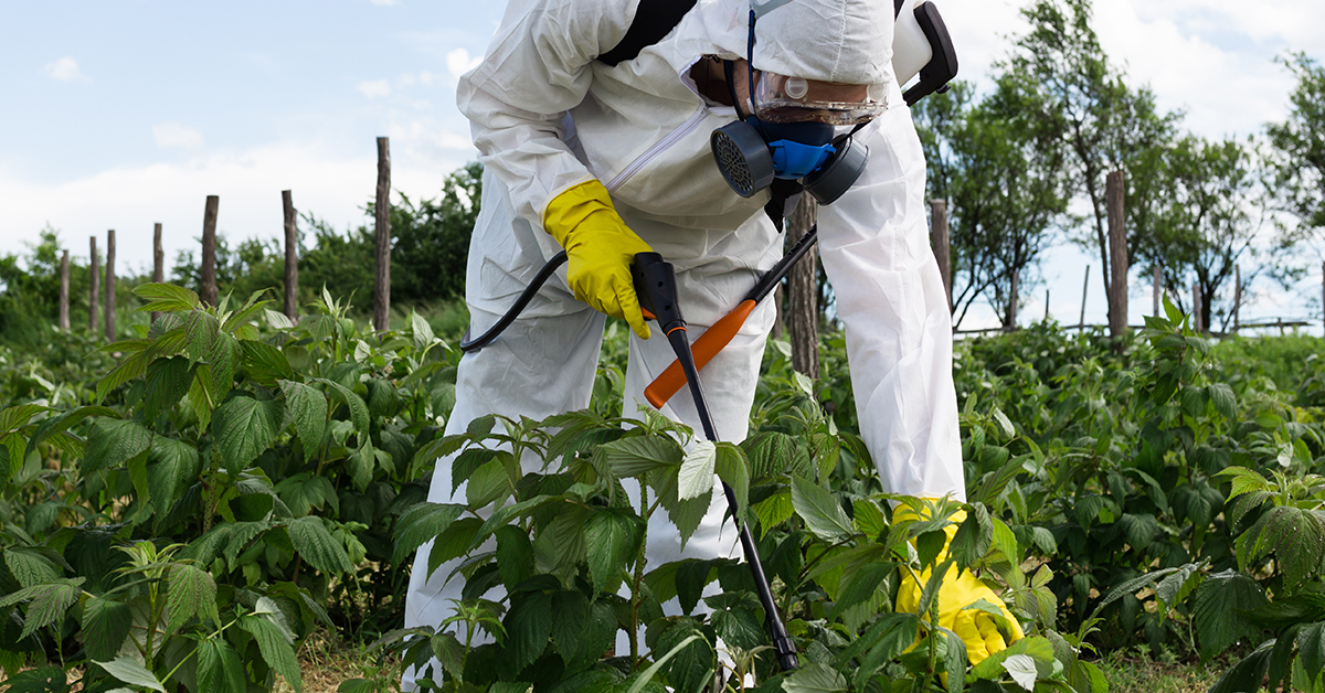 What Herbicides Contain Paraquat Article Featured Image showing a man in a full hazmat suit spraying vegetation and plants with herbicides